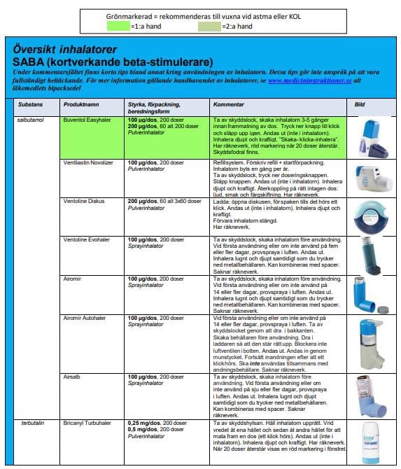 översikt inhalatorer