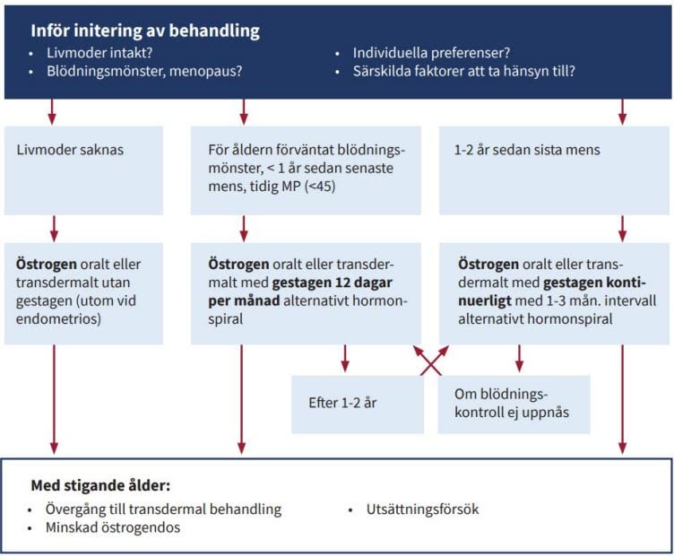Flödesschema för Val av läkemedel och regim